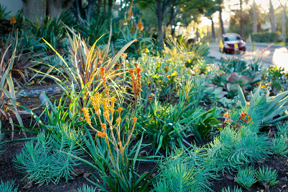 Esempio di un grande giardino xeriscape davanti casa