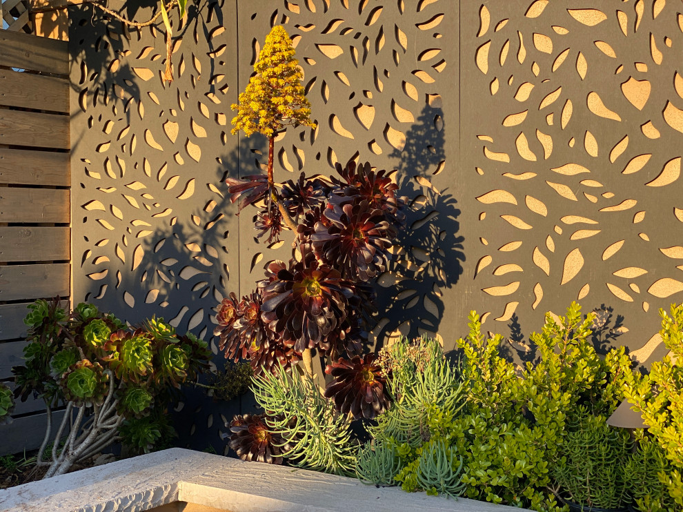Mittelgroßer Moderner Garten im Sommer, hinter dem Haus mit Blumenbeet, direkter Sonneneinstrahlung, Natursteinplatten und Holzzaun in San Diego