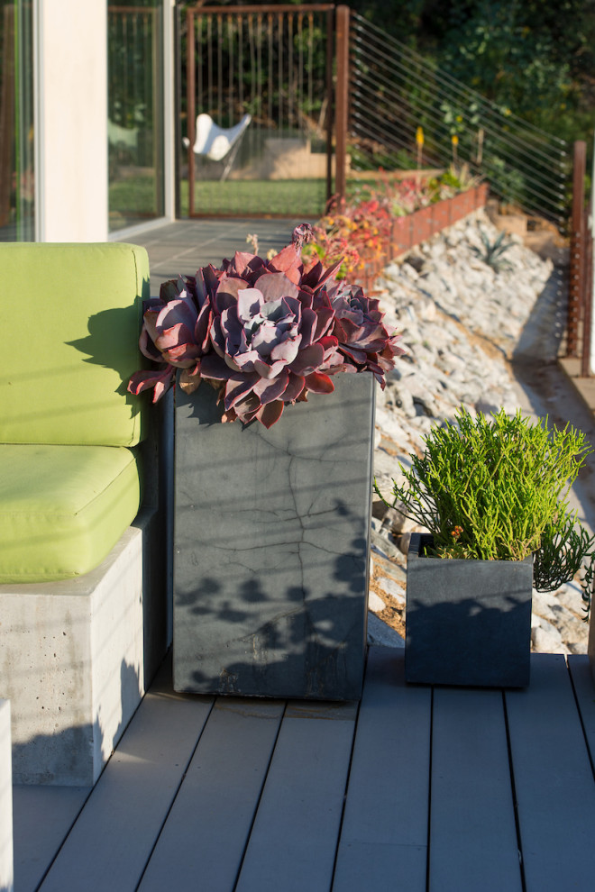 На фото: солнечный засухоустойчивый сад среднего размера на заднем дворе в стиле модернизм с растениями в контейнерах и хорошей освещенностью с