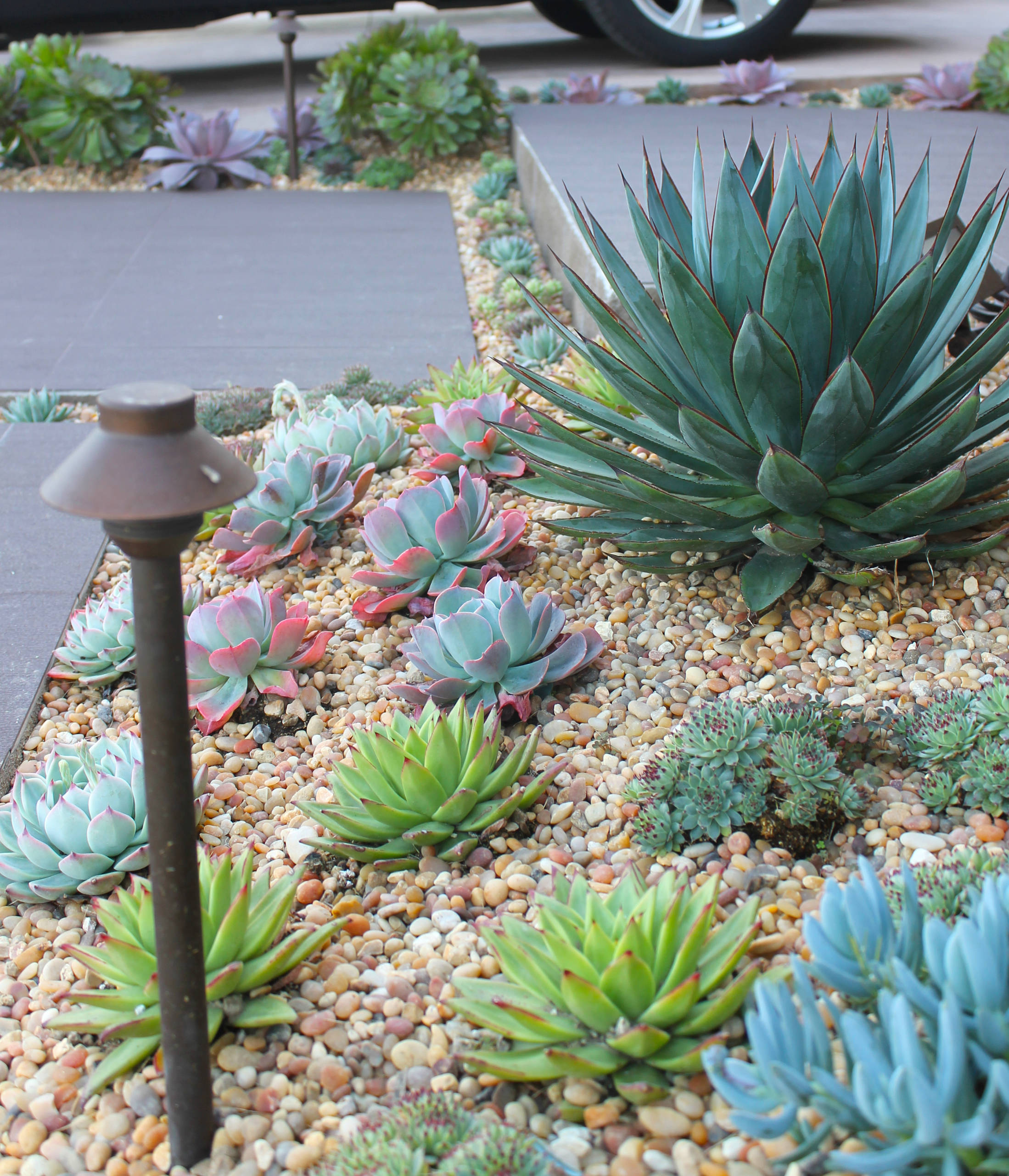 This is an example of a mid-sized transitional drought-tolerant and partial sun front yard gravel landscaping in Orange County.