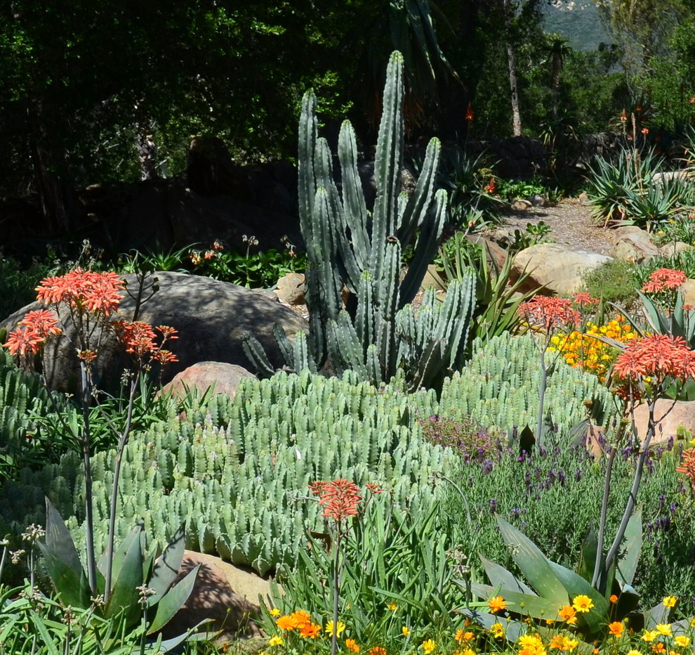 Photo of a landscaping in Los Angeles.
