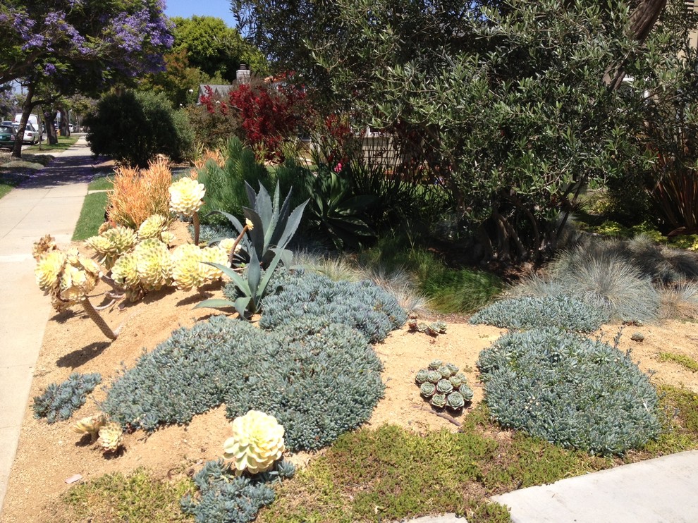 Idée de décoration pour un jardin avant méditerranéen avec un gravier de granite.