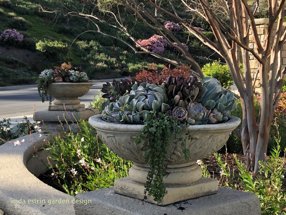 Immagine di un giardino bohémian con un giardino in vaso