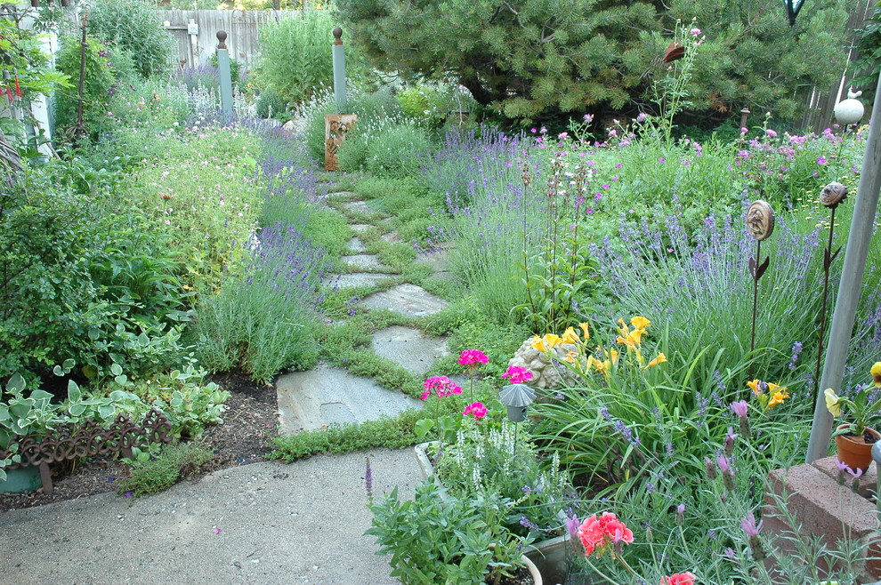Cette photo montre un jardin arrière éclectique l'été et de taille moyenne avec une exposition ensoleillée et des pavés en pierre naturelle.