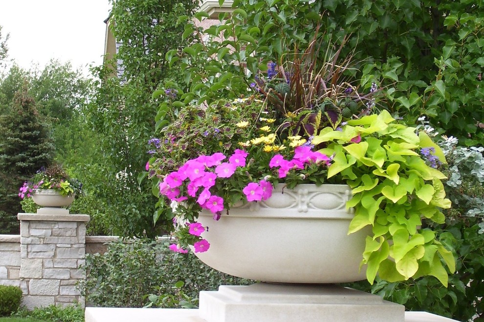 Geräumiger Klassischer Vorgarten im Sommer mit Kübelpflanzen, direkter Sonneneinstrahlung und Natursteinplatten in Chicago