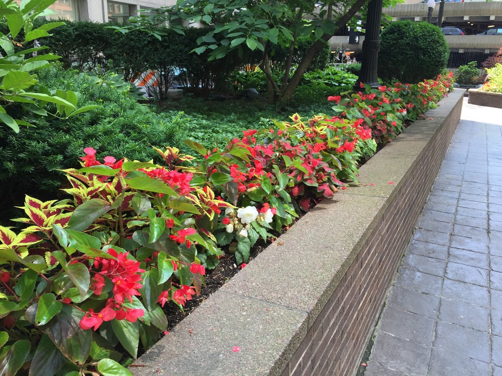 Summer Annuals Traditional Landscape Chicago by McAdam