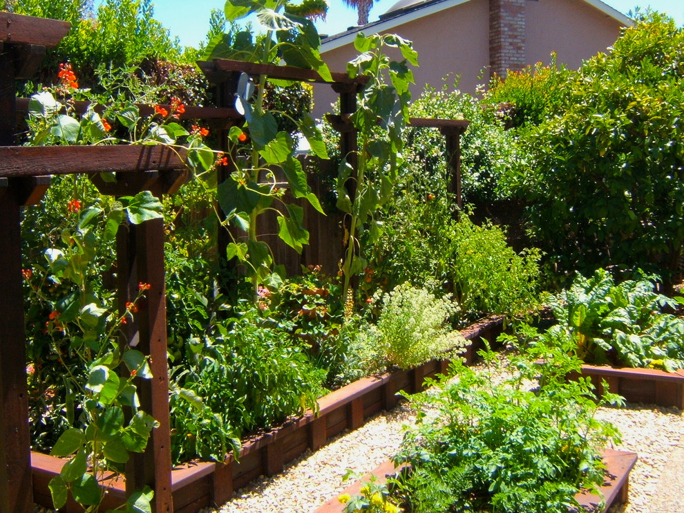 На фото: маленький солнечный, летний огород на участке на заднем дворе в стиле рустика с хорошей освещенностью и покрытием из гравия для на участке и в саду с