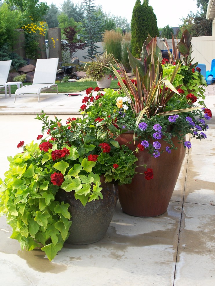 Esempio di un piccolo giardino bohémian esposto in pieno sole in cortile in estate con un giardino in vaso