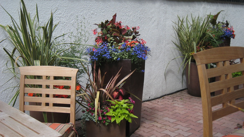 Idee per un giardino tropicale in ombra in cortile in estate con un giardino in vaso