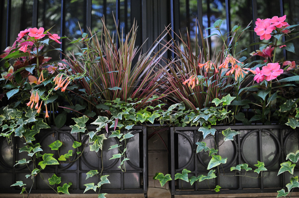 На фото: летний участок и сад среднего размера на заднем дворе в классическом стиле с растениями в контейнерах и полуденной тенью