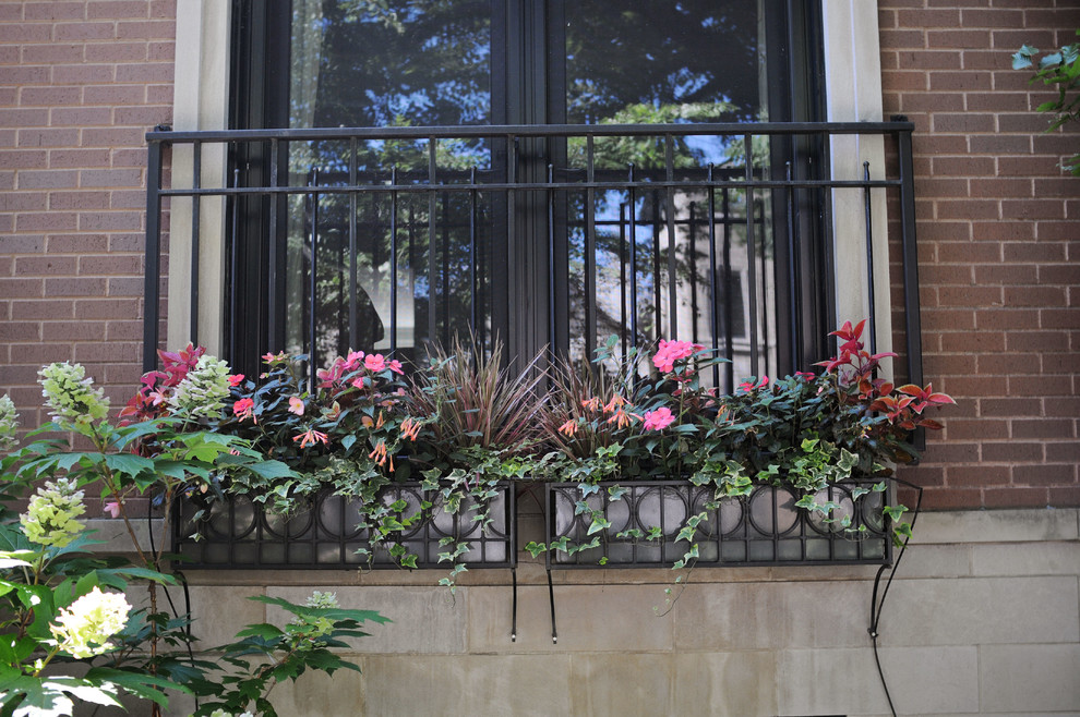 Mittelgroßer, Halbschattiger Klassischer Garten hinter dem Haus, im Sommer mit Kübelpflanzen in Chicago