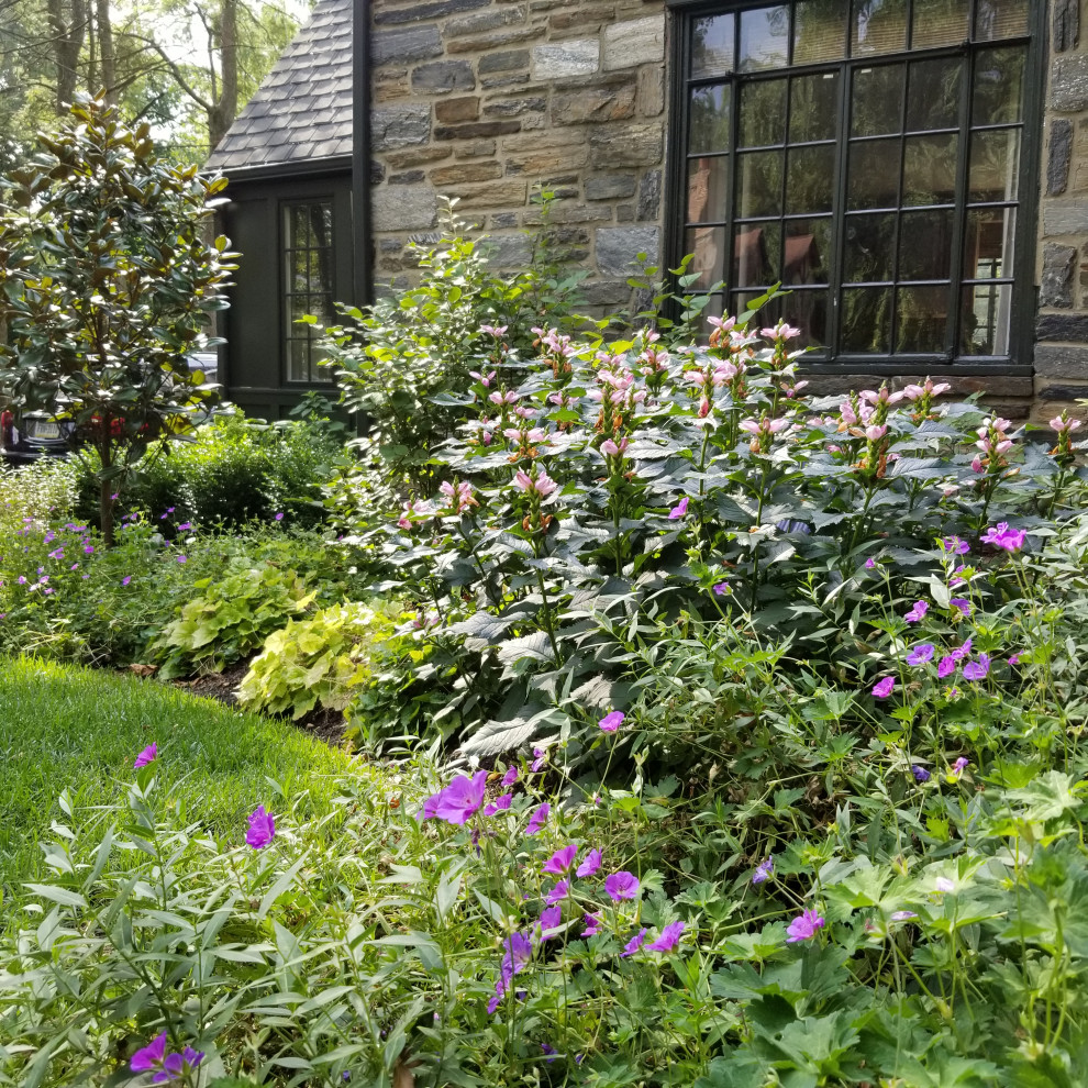 Mittelgroßer, Halbschattiger Klassischer Vorgarten im Sommer in Philadelphia