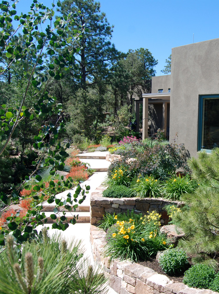 Design ideas for a medium sized contemporary front xeriscape full sun garden for summer in Albuquerque with a garden path and natural stone paving.