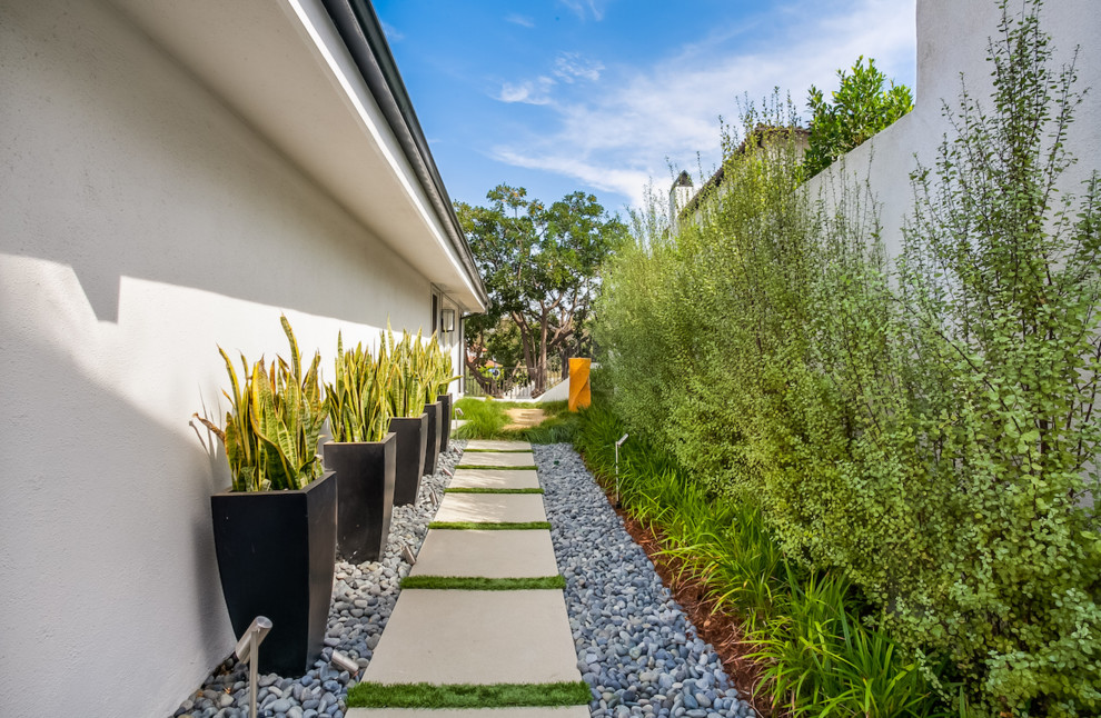 Esempio di un giardino xeriscape moderno in ombra di medie dimensioni e nel cortile laterale con pavimentazioni in cemento