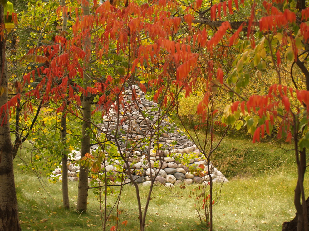 Cette image montre un jardin arrière chalet l'automne.
