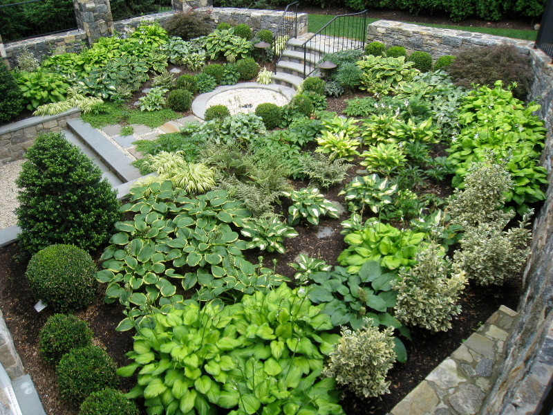 Idee per un giardino tradizionale esposto a mezz'ombra di medie dimensioni e nel cortile laterale