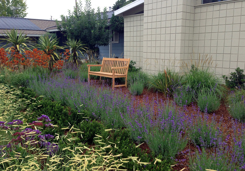Idee per un piccolo giardino xeriscape minimalista esposto in pieno sole davanti casa con pacciame