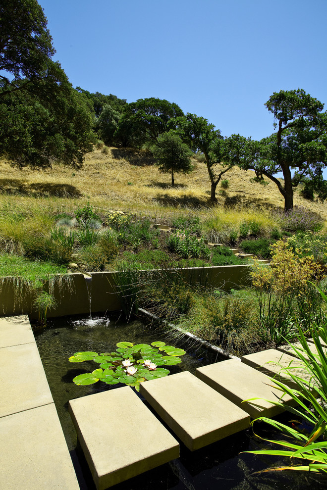 Cette image montre un jardin minimaliste avec un point d'eau.