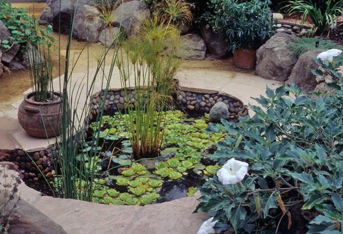 Cette photo montre un jardin montagne de taille moyenne et l'été avec un point d'eau, une exposition ensoleillée et des pavés en pierre naturelle.