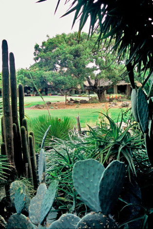 Immagine di un ampio giardino stile rurale esposto a mezz'ombra in cortile con pacciame