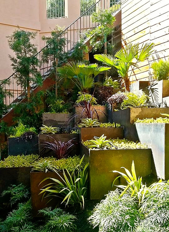 Contemporary garden in San Francisco.