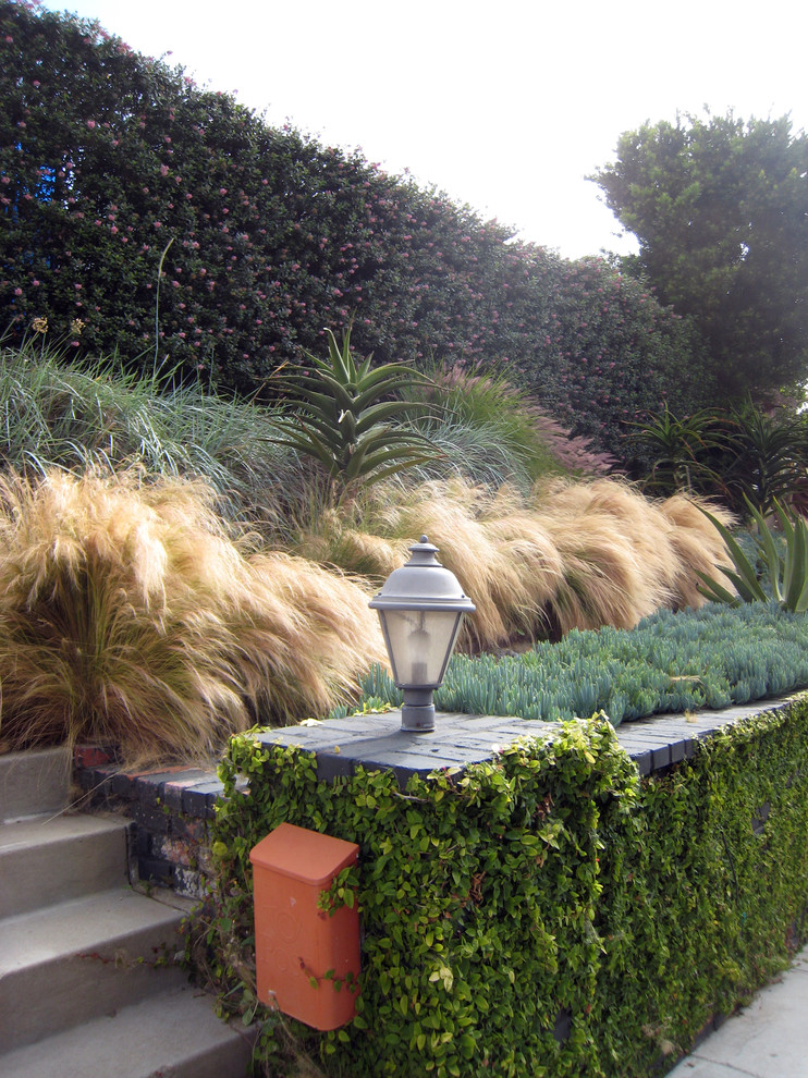 Esempio di un giardino xeriscape moderno esposto in pieno sole di medie dimensioni in primavera con un pendio, una collina o una riva e ghiaia