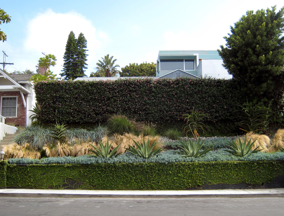 Foto di un giardino xeriscape moderno esposto in pieno sole di medie dimensioni in primavera con un pendio, una collina o una riva e ghiaia