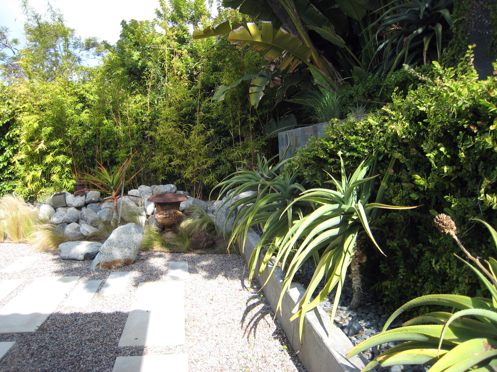 Ejemplo de jardín de secano minimalista de tamaño medio en primavera en patio trasero con exposición parcial al sol y gravilla