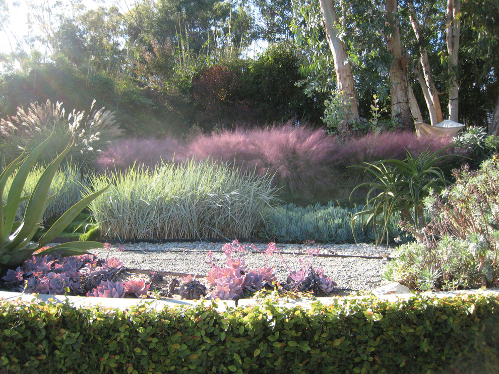 Immagine di un giardino xeriscape minimalista esposto in pieno sole di medie dimensioni in autunno con un pendio, una collina o una riva e ghiaia