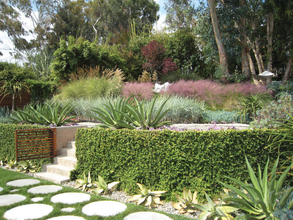 Mittelgroßer Moderner Garten im Herbst mit direkter Sonneneinstrahlung und Betonboden in Los Angeles