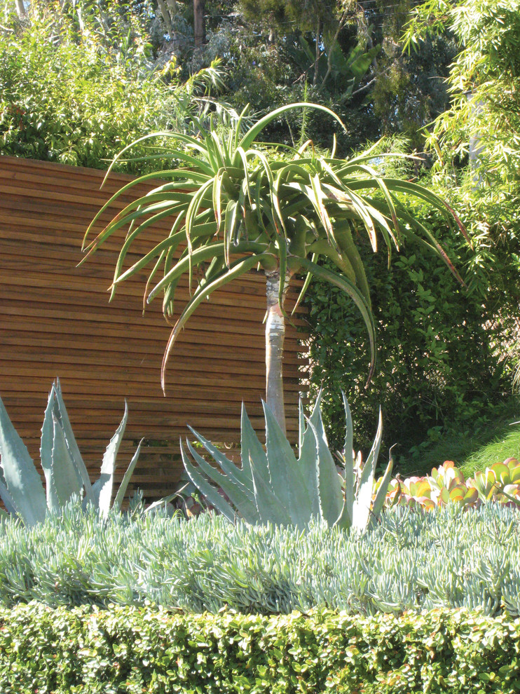 Modelo de jardín de secano minimalista de tamaño medio en verano en patio trasero con exposición total al sol y adoquines de hormigón