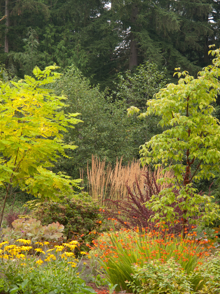 Idées déco pour un jardin arrière contemporain l'automne.