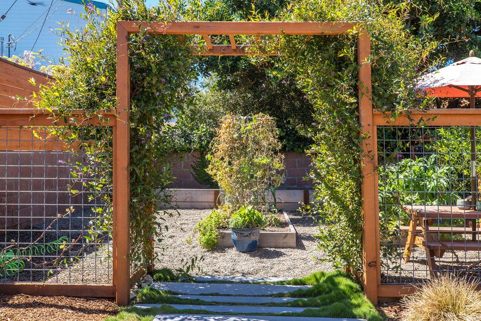 Diseño de camino de jardín de secano moderno de tamaño medio en patio trasero