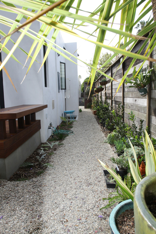На фото: солнечный участок и сад среднего размера на боковом дворе в современном стиле с садовой дорожкой или калиткой, хорошей освещенностью и покрытием из гравия
