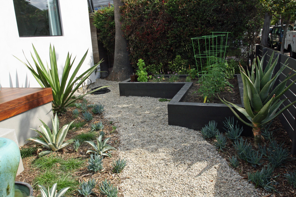 Cette photo montre un jardin potager avant tendance de taille moyenne avec une exposition ensoleillée et du gravier.