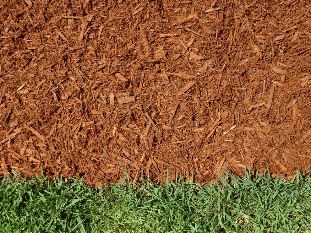 Superior Gold Mulch Landscape Orlando by Major Mulch
