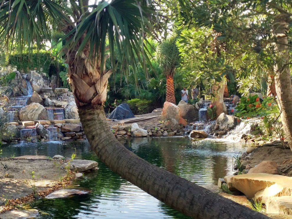 Inspiration for a tropical landscaping in Tampa.