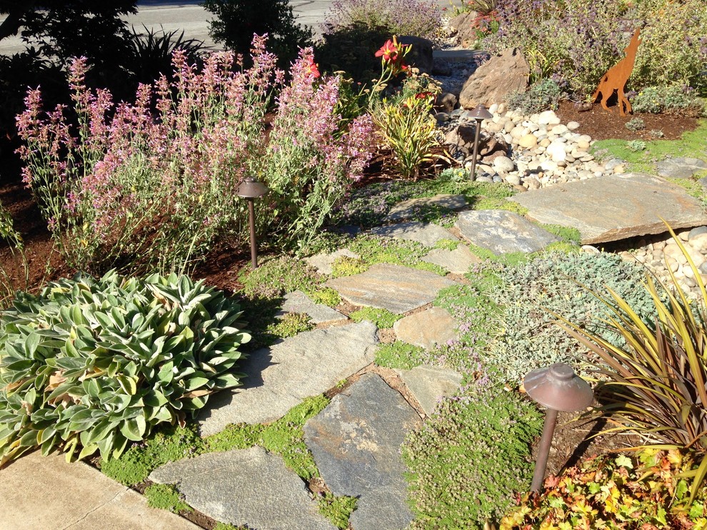 Idee per un giardino xeriscape esposto in pieno sole di medie dimensioni e davanti casa in estate con pavimentazioni in pietra naturale