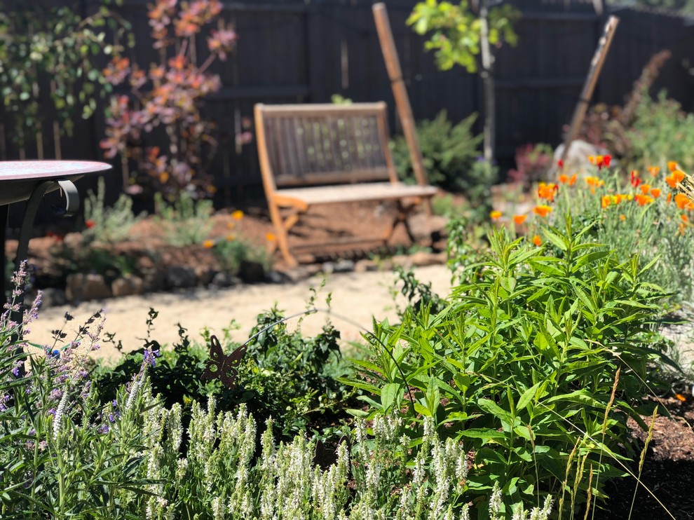 Imagen de camino de jardín de secano de estilo americano de tamaño medio en patio trasero con exposición total al sol