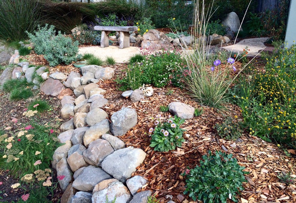 Photo of a small craftsman drought-tolerant front yard landscaping in San Francisco.