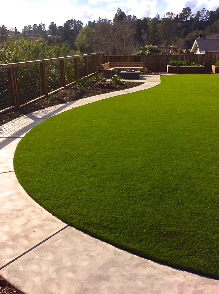 Sustainable Orinda Landscape Modern Garden San Francisco by