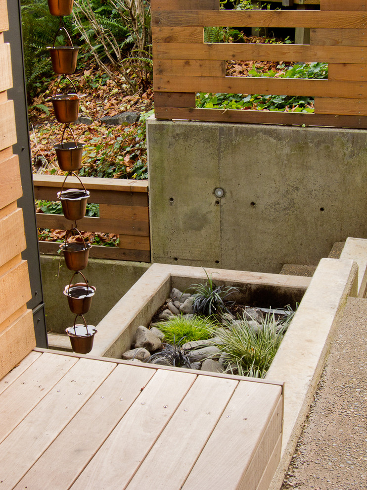This is an example of a contemporary garden in Portland.