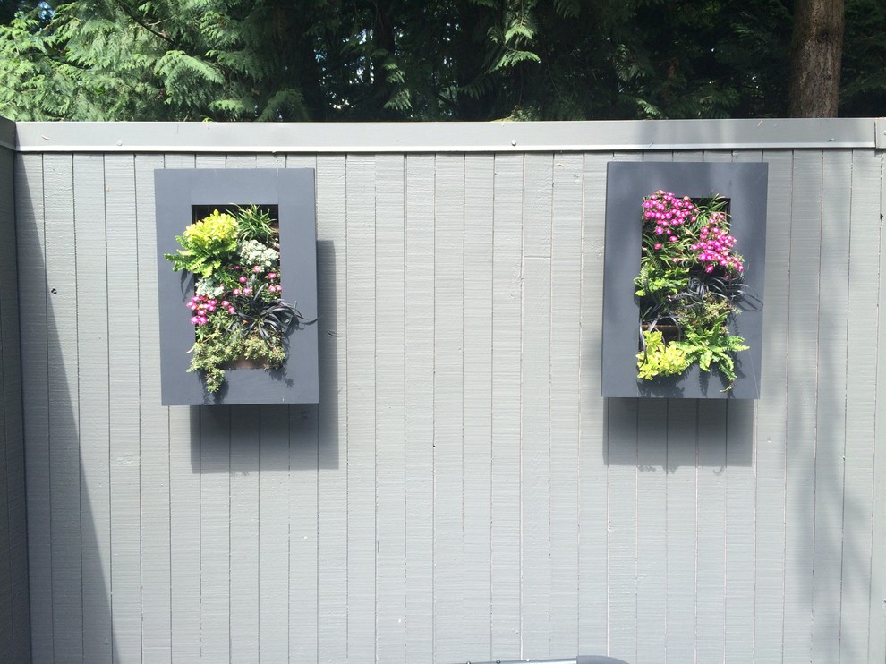 Kleiner Moderner Garten hinter dem Haus mit Kübelpflanzen in Portland