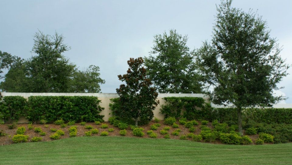 Immagine di un grande giardino tropicale esposto a mezz'ombra davanti casa in primavera con un muro di contenimento