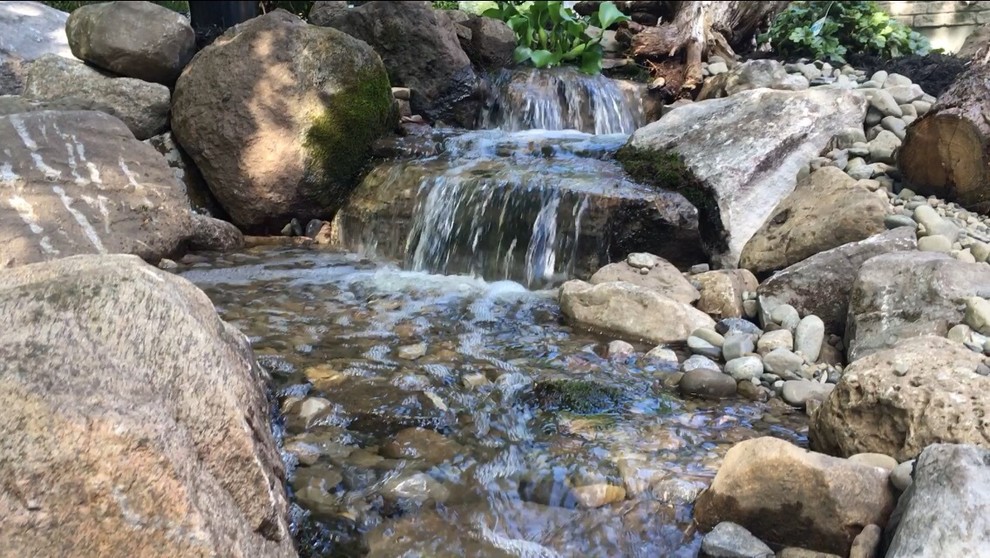 Swim Pond Mediterran Garten Sonstige von Pond World Houzz