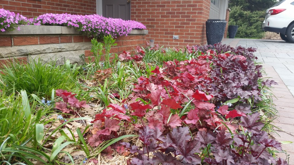 Immagine di un piccolo giardino moderno esposto a mezz'ombra davanti casa in estate con un ingresso o sentiero e pavimentazioni in pietra naturale