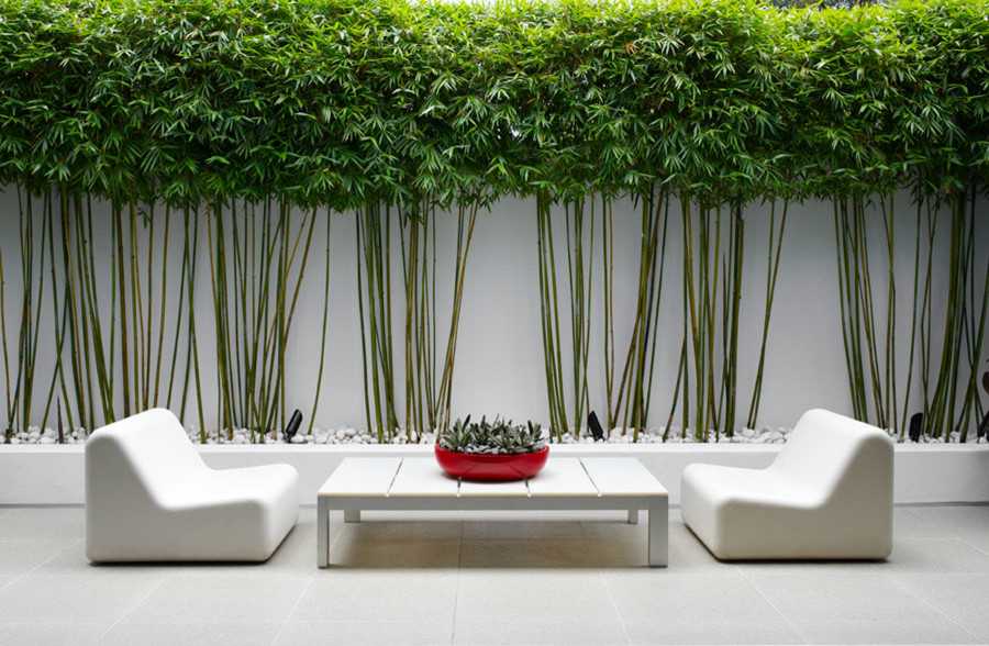 Idee per un giardino formale design esposto a mezz'ombra di medie dimensioni e dietro casa con pavimentazioni in cemento