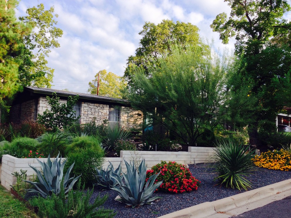 Diseño de jardín de secano minimalista de tamaño medio en patio delantero con exposición total al sol y gravilla