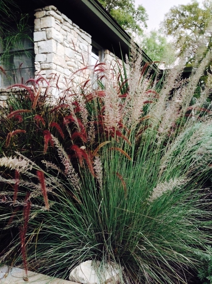 This is an example of a small modern drought-tolerant and full sun front yard gravel landscaping in Austin.