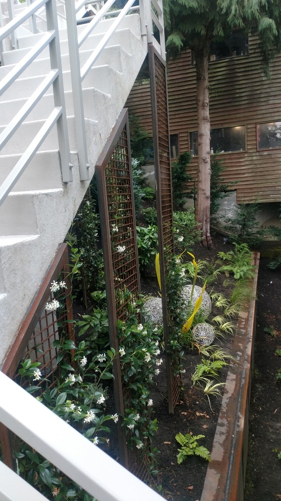 Idee per un giardino xeriscape contemporaneo in ombra nel cortile laterale in inverno con un ingresso o sentiero